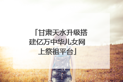 甘肃天水升级搭建亿万中华儿女网上祭祖平台