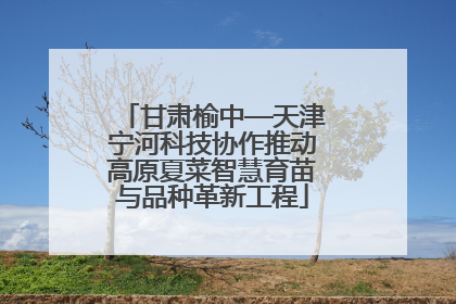 甘肃榆中—天津宁河科技协作推动高原夏菜智慧育苗与品种革新工程