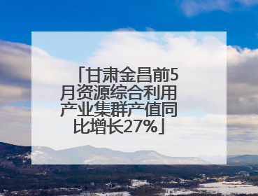 甘肃金昌前5月资源综合利用产业集群产值同比增长27%