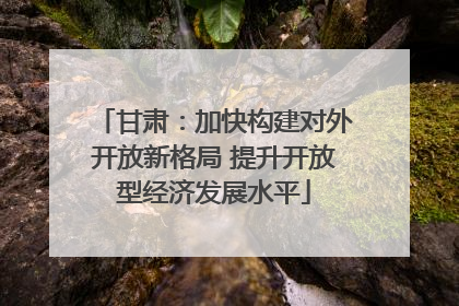 甘肃：加快构建对外开放新格局 提升开放型经济发展水平