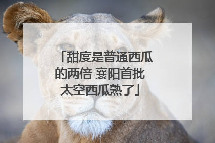 甜度是普通西瓜的两倍 襄阳首批太空西瓜熟了