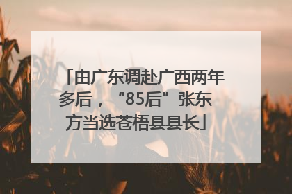 由广东调赴广西两年多后，“85后”张东方当选苍梧县县长
