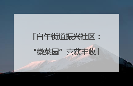 白午街道振兴社区：“微菜园”喜获丰收