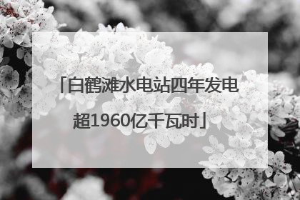 白鹤滩水电站四年发电超1960亿千瓦时