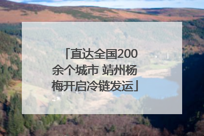 直达全国200余个城市 靖州杨梅开启冷链发运