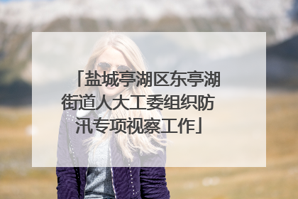 盐城亭湖区东亭湖街道人大工委组织防汛专项视察工作