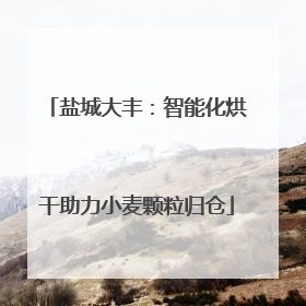 盐城大丰：智能化烘干助力小麦颗粒归仓