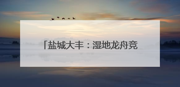 盐城大丰：湿地龙舟竞渡 艾香飘荡野鹿荡
