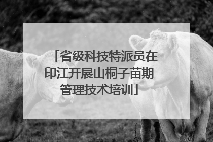 省级科技特派员在印江开展山桐子苗期管理技术培训