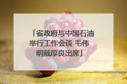 省政府与中国石油举行工作会谈 毛伟明戴厚良出席
