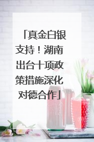 真金白银支持！湖南出台十项政策措施深化对德合作