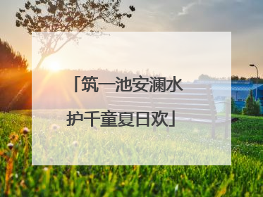 筑一池安澜水 护千童夏日欢
