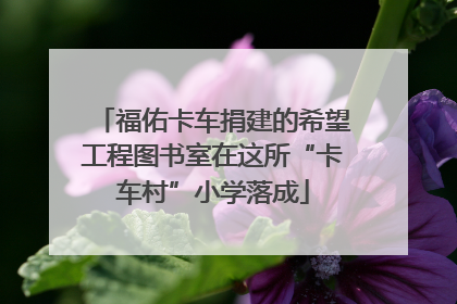 福佑卡车捐建的希望工程图书室在这所“卡车村”小学落成