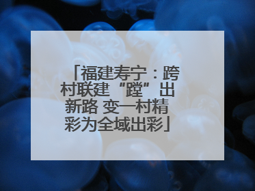 福建寿宁：跨村联建“蹚”出新路 变一村精彩为全域出彩