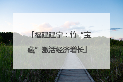福建建宁：竹“宝藏”激活经济增长