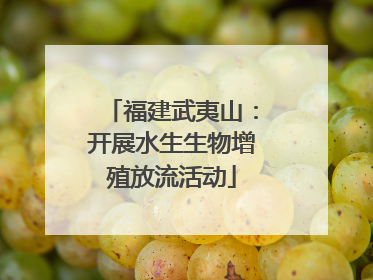 福建武夷山：开展水生生物增殖放流活动