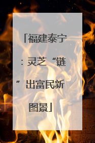 福建泰宁：灵芝“链”出富民新图景
