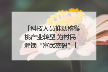 科技人员推动猕猴桃产业转型 为村民解锁“富民密码”