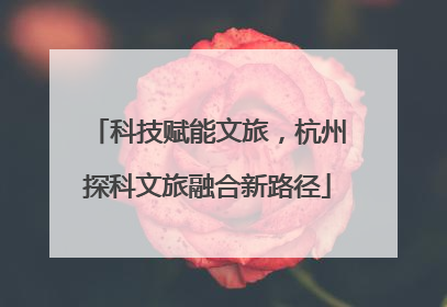科技赋能文旅，杭州探科文旅融合新路径