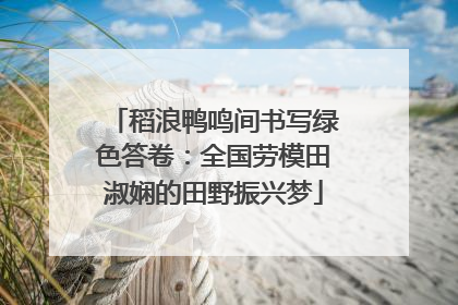 稻浪鸭鸣间书写绿色答卷：全国劳模田淑娴的田野振兴梦