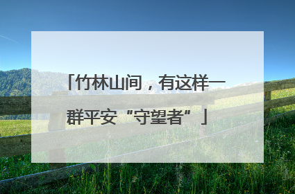 竹林山间，有这样一群平安“守望者”
