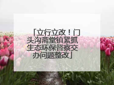 立行立改！门头沟斋堂镇紧抓生态环保督察交办问题整改