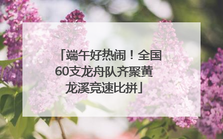 端午好热闹！全国60支龙舟队齐聚黄龙溪竞速比拼