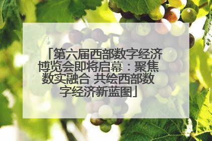 第六届西部数字经济博览会即将启幕：聚焦数实融合 共绘西部数字经济新蓝图