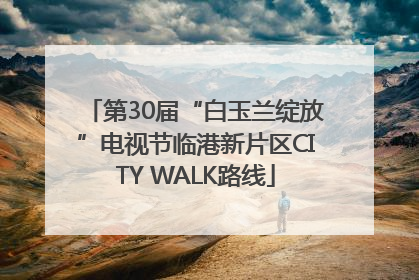 第30届“白玉兰绽放”电视节临港新片区CITY WALK路线