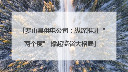 罗山县供电公司：纵深推进“两个度” 撑起监督大格局