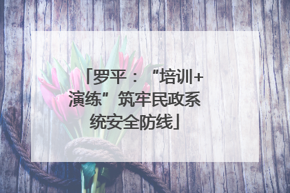 罗平：“培训+演练”筑牢民政系统安全防线