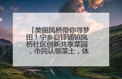 美丽凤桥带你寻梦田！宁乡夏铎铺镇凤桥社区创新共享菜园，市民认领菜土，体验耕种收获乐趣