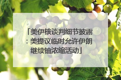 美伊核谈判细节披露：美提议临时允许伊朗继续铀浓缩活动