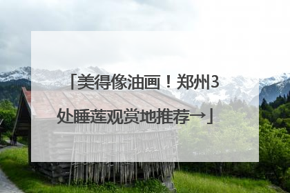 美得像油画！郑州3处睡莲观赏地推荐→