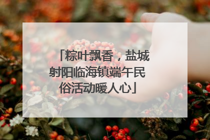 粽叶飘香，盐城射阳临海镇端午民俗活动暖人心