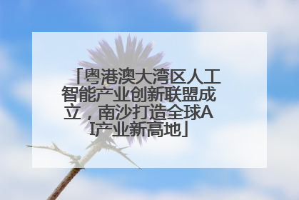 粤港澳大湾区人工智能产业创新联盟成立，南沙打造全球AI产业新高地