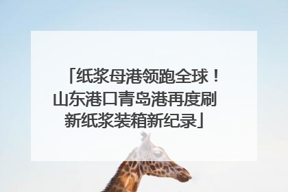 纸浆母港领跑全球！山东港口青岛港再度刷新纸浆装箱新纪录