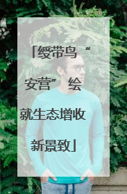 绶带鸟“安营” 绘就生态增收新景致