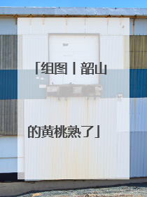 组图丨韶山的黄桃熟了
