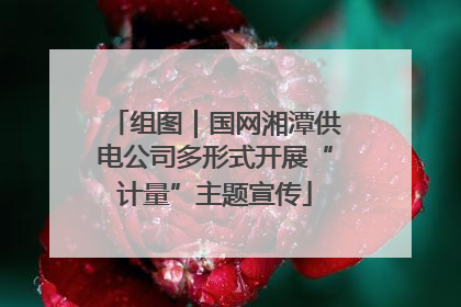 组图｜国网湘潭供电公司多形式开展“计量”主题宣传