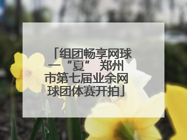 组团畅享网球一“夏” 郑州市第七届业余网球团体赛开拍