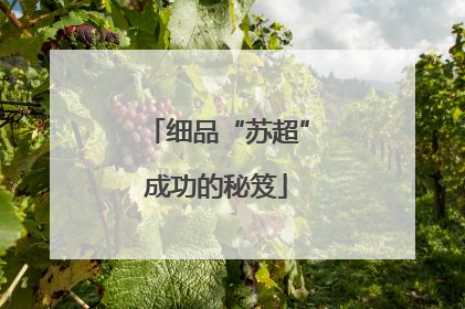 细品“苏超”成功的秘笈