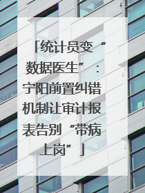 统计员变“数据医生”：宁阳前置纠错机制让审计报表告别“带病上岗”