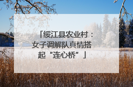绥江县农业村：女子调解队真情搭起“连心桥”