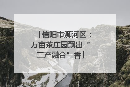 信阳市浉河区：万亩茶庄园飘出“三产融合”香