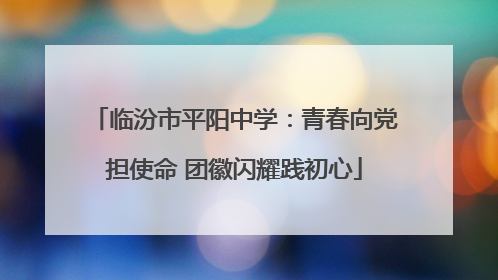 临汾市平阳中学：青春向党担使命 团徽闪耀践初心