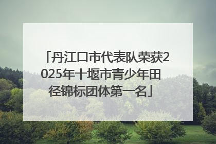 丹江口市代表队荣获2025年十堰市青少年田径锦标团体第一名