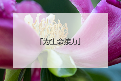 为生命接力