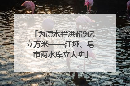 为澧水拦洪超9亿立方米——江垭、皂市两水库立大功