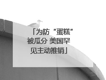 为防“蛋糕”被瓜分 美国罕见主动推销